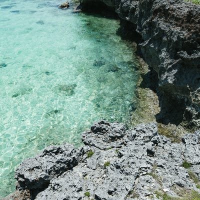 エメラルドグリーンの美しい海水と隆起珊瑚の写真