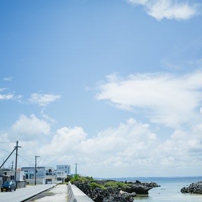 堤防脇の電柱が並ぶ風景の写真
