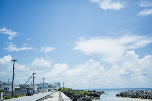 堤防脇の電柱が並ぶ風景の写真