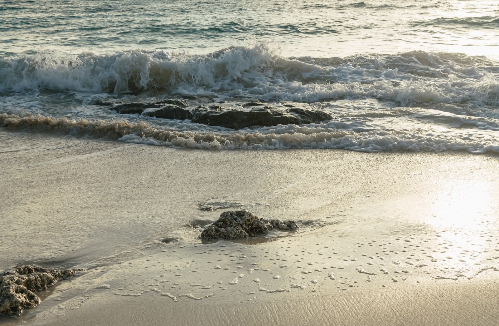 「砂浜に残る泡」の写真