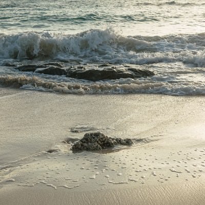 砂浜に残る泡の写真