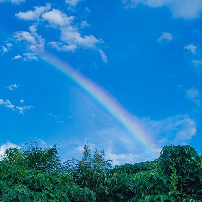青空と虹の端の写真