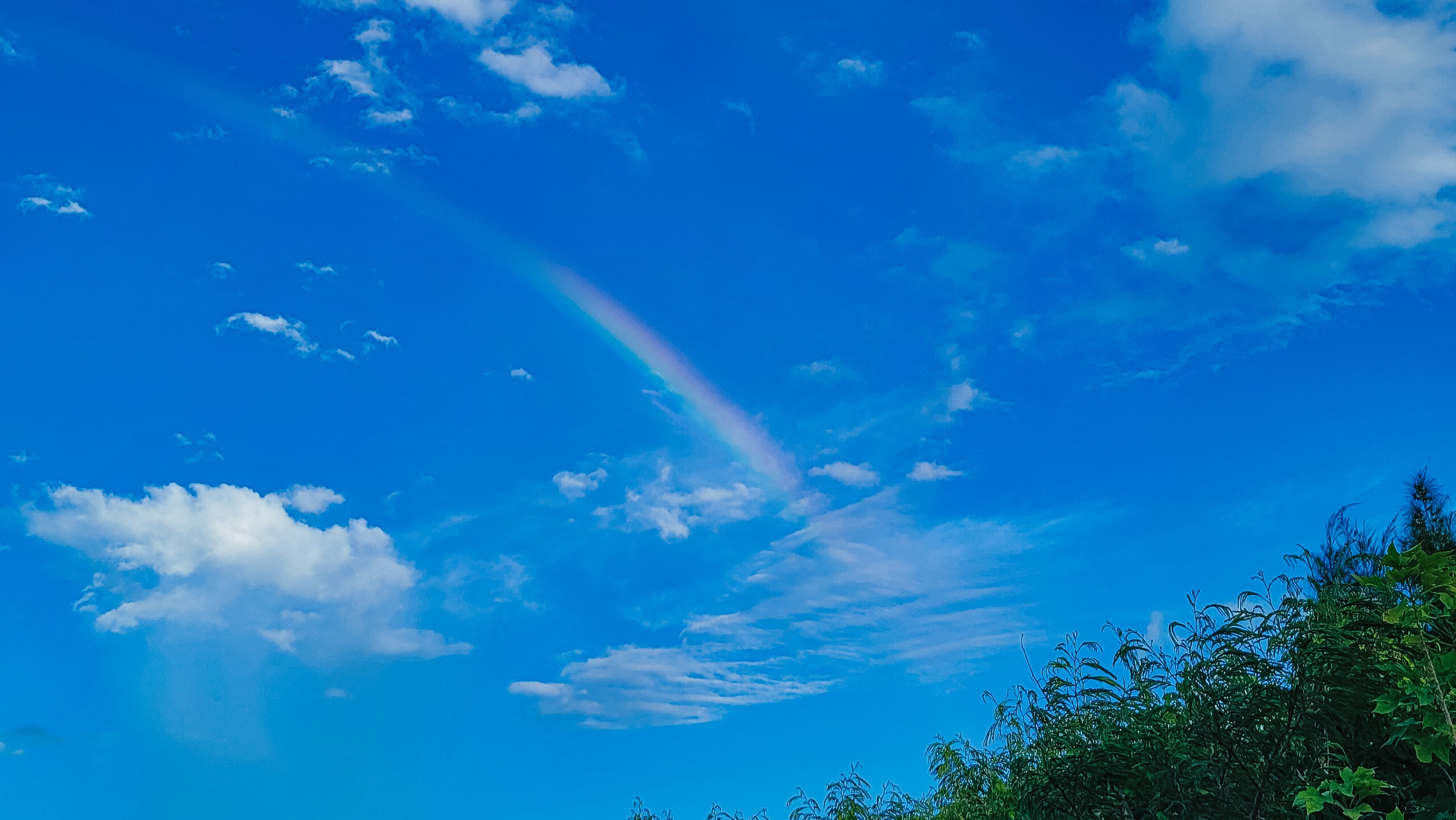 虹が出た青空の無料の写真素材 - ID.82606｜フリー素材 ぱくたそ