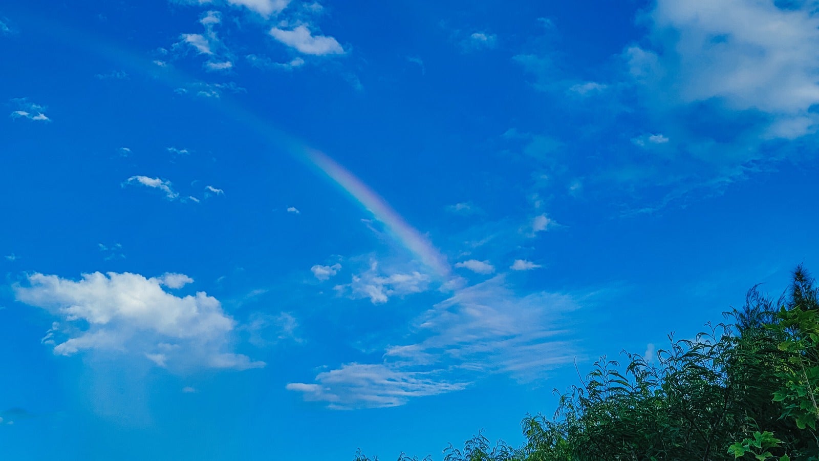 「虹が出た青空」の写真