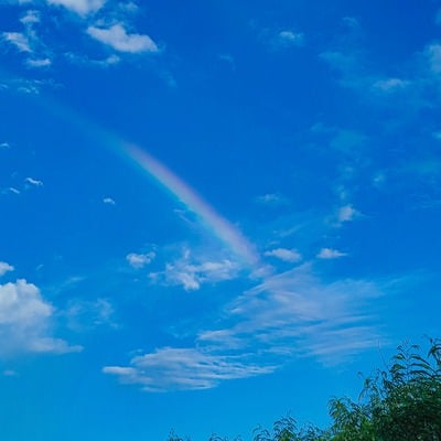 虹が出た青空の写真