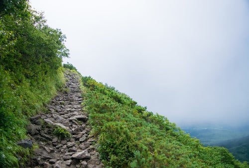 登山道と斜面の写真