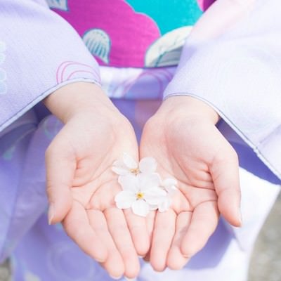 桜の花弁を両手で掬う着物の女性の写真
