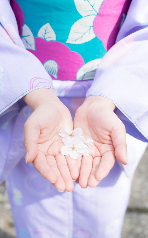 桜の花弁を両手で掬う着物の女性の写真