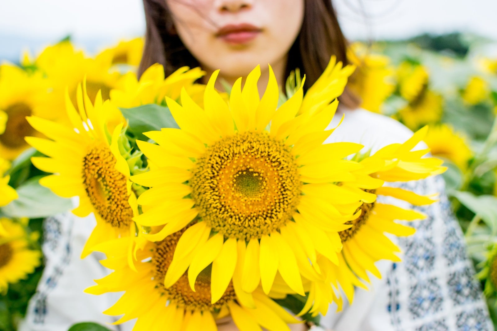 「向日葵畑の中で花を持った女性」の写真