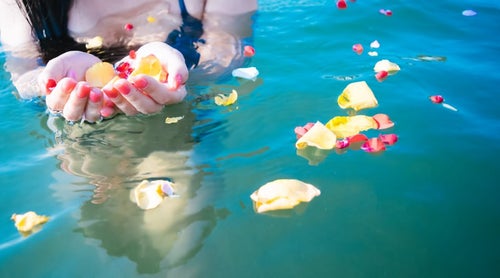 水面に浮く鮮やかな花びらと女性の手の写真
