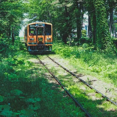 森のなかを走る1車両の電車の写真