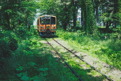 森のなかを走る1車両の電車の写真