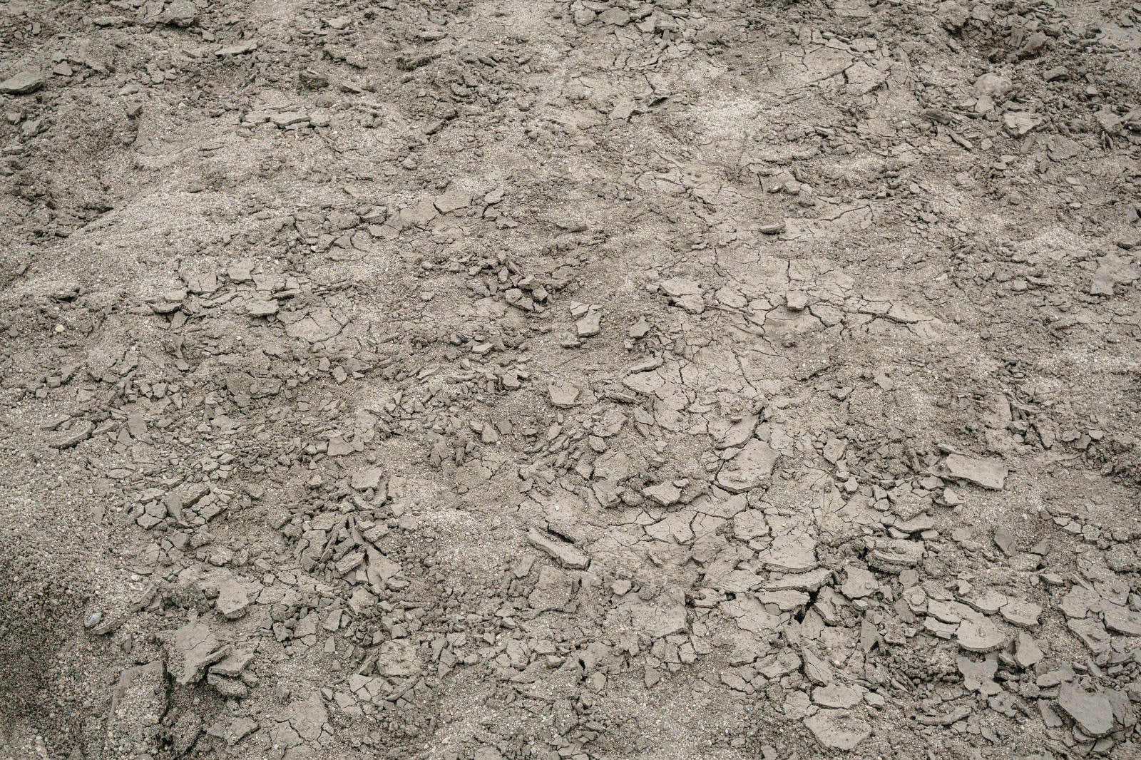 「干上がりひび割れた数日前までダム湖の底だった砂地のテクスチャー」の写真