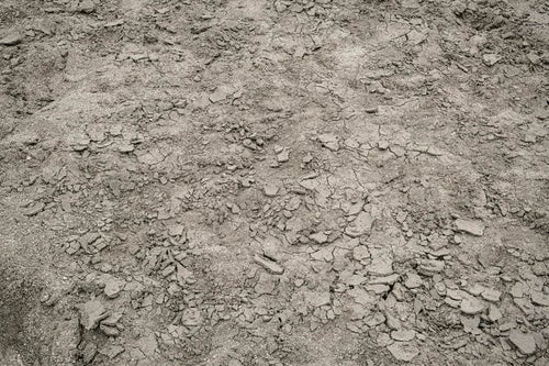 干上がりひび割れた数日前までダム湖の底だった砂地のテクスチャーの写真