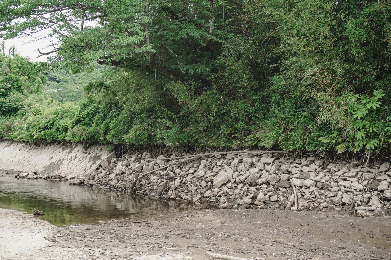 「普段は水没しているダム湖右岸の石組み」の写真