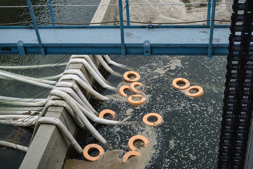頭首工天端から見える排水ホースと排水ポンプの目印の浮き輪の写真