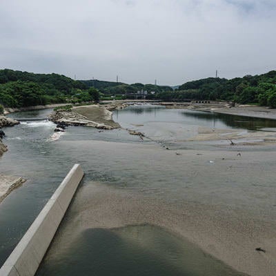 明治用水頭首工の天端から所々湖底がのぞき旧頭首工も姿を現した上流方面を見るの写真