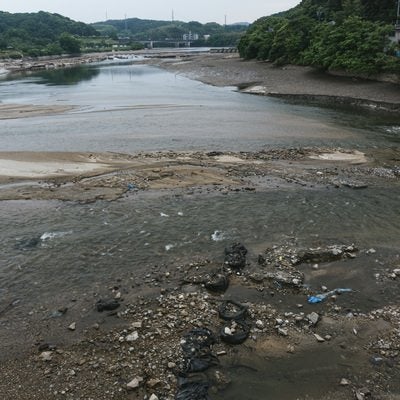 明治用水頭首工天端中央付近より覗き見た通常は両岸の木々の際まで満々と水をたたえるダム湖の湖底が何か所も露わになった頭首工上流部の様子の写真