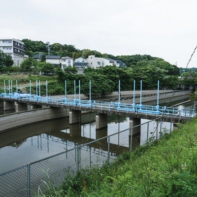 普段より水が減ってしまっている明治用水の沈砂池の写真