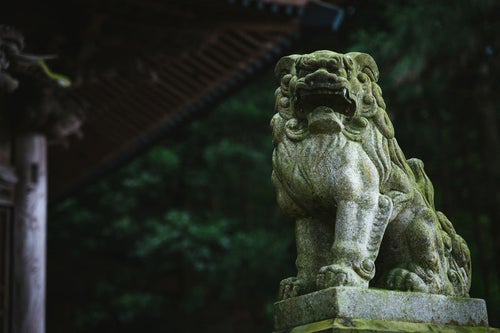「王城山神社」の狛犬の写真
