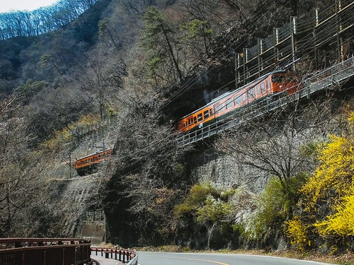 日本一短いトンネル「樽沢トンネル」を走行するJR吾妻線の写真