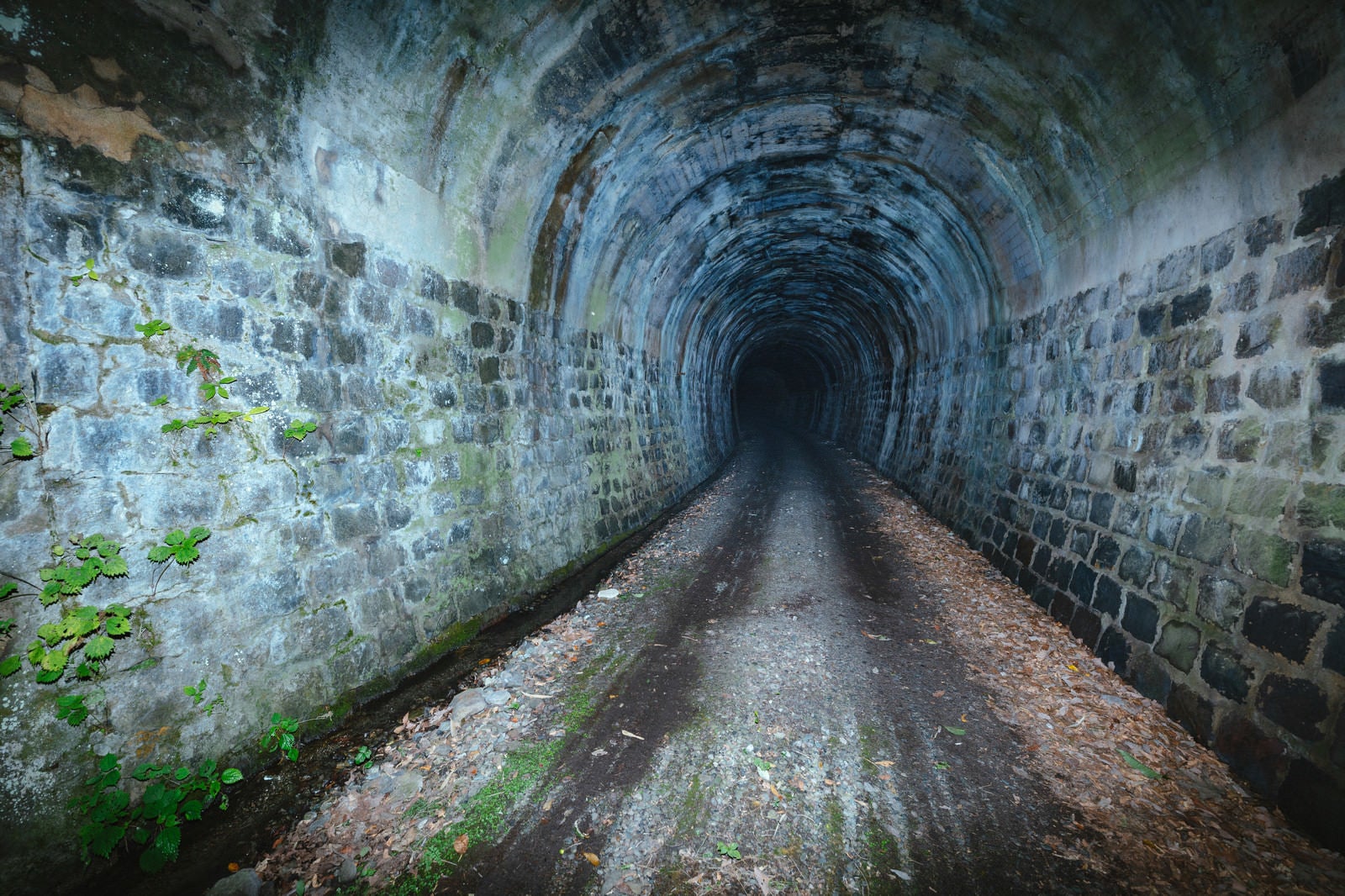 「電灯のない使われていないトンネル」の写真