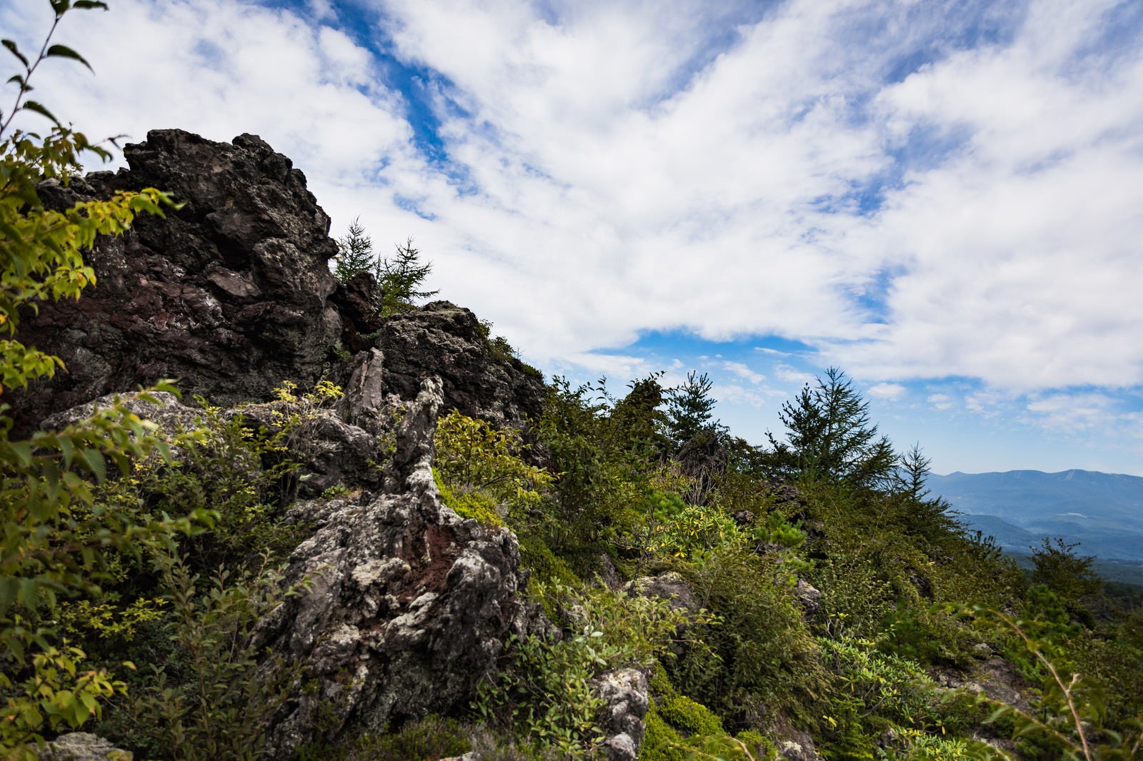 「膨大な溶岩と森林」の写真