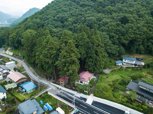 長野原町指定天然記念物の「神杉」に覆われた王城山神社の写真