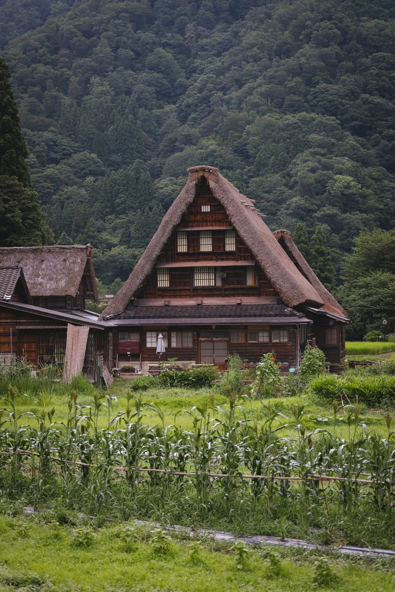 「合掌造りの家（菅沼集落）」の写真