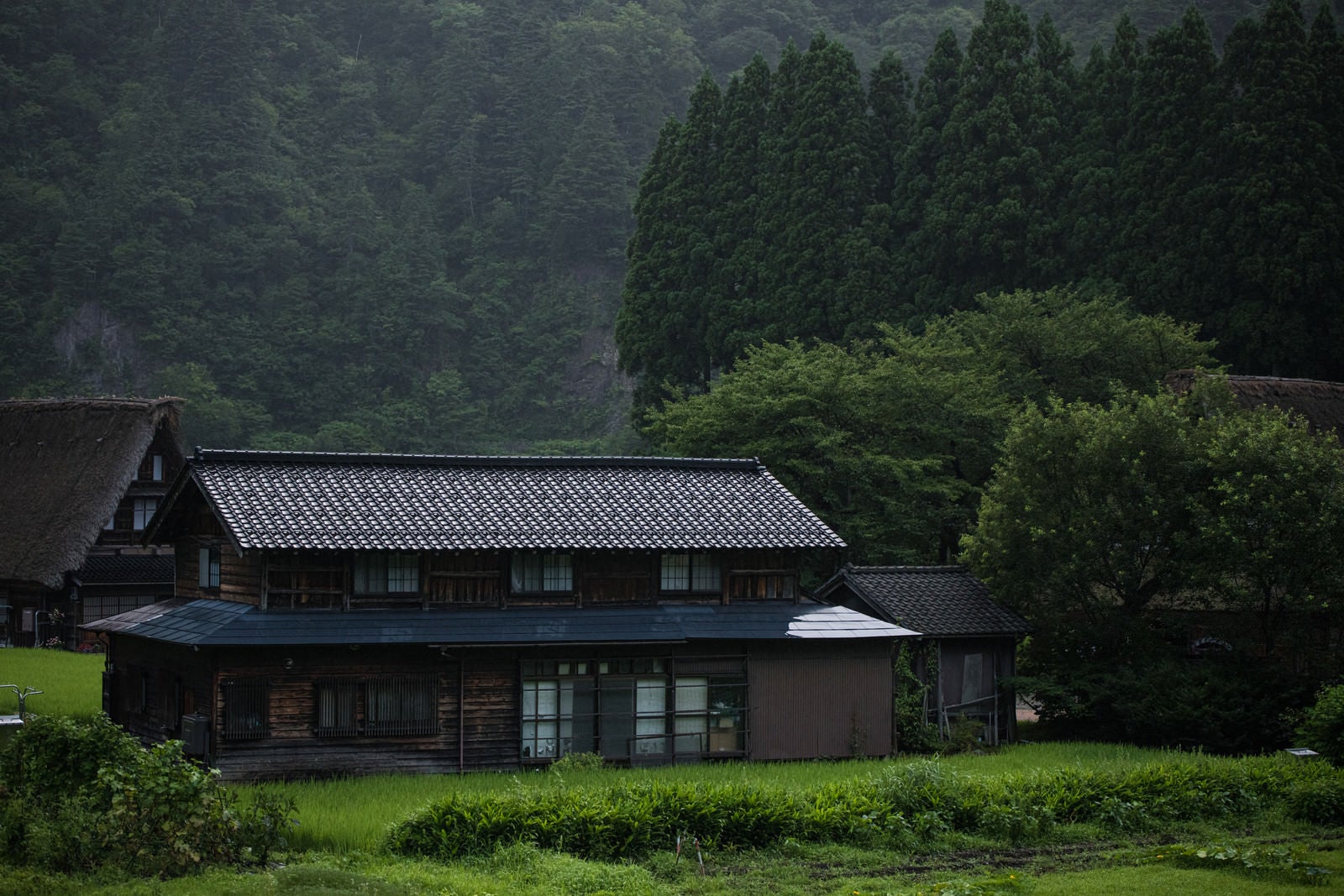 「霧雨が降る菅沼集落の家屋」の写真