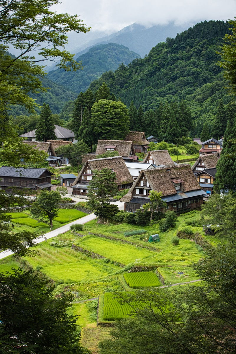 「相倉展望台から撮影した集落の景観」の写真