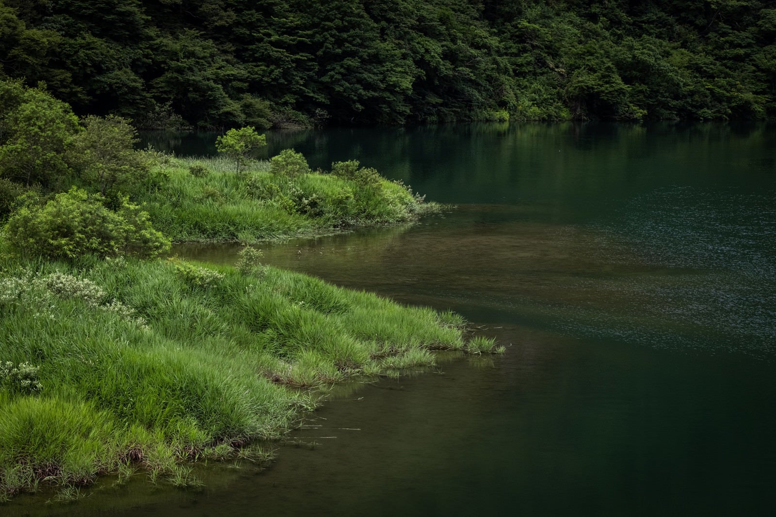 「菅沼の庄川」の写真