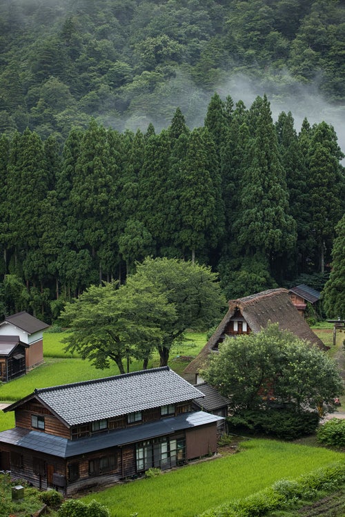 懐かしい日本の田舎の朝（菅沼合掌造り集落）の写真