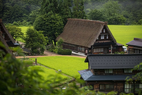 懐かしい昭和の田舎を堪能できる菅沼の合掌造り集落の写真