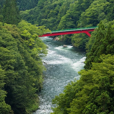 庄川峡にかかる橋（富山県南砺市）の写真