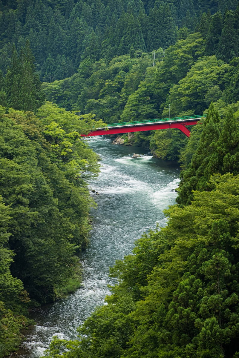 「庄川峡にかかる橋（富山県南砺市）」の写真