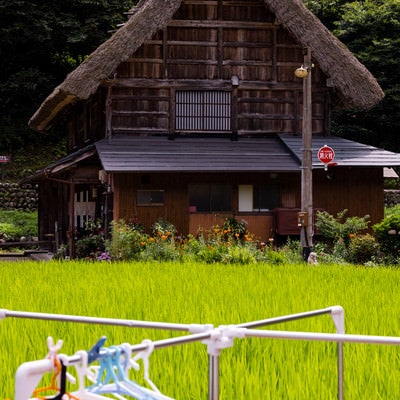 田舎の風景（物干し台と合掌造りの家）の写真