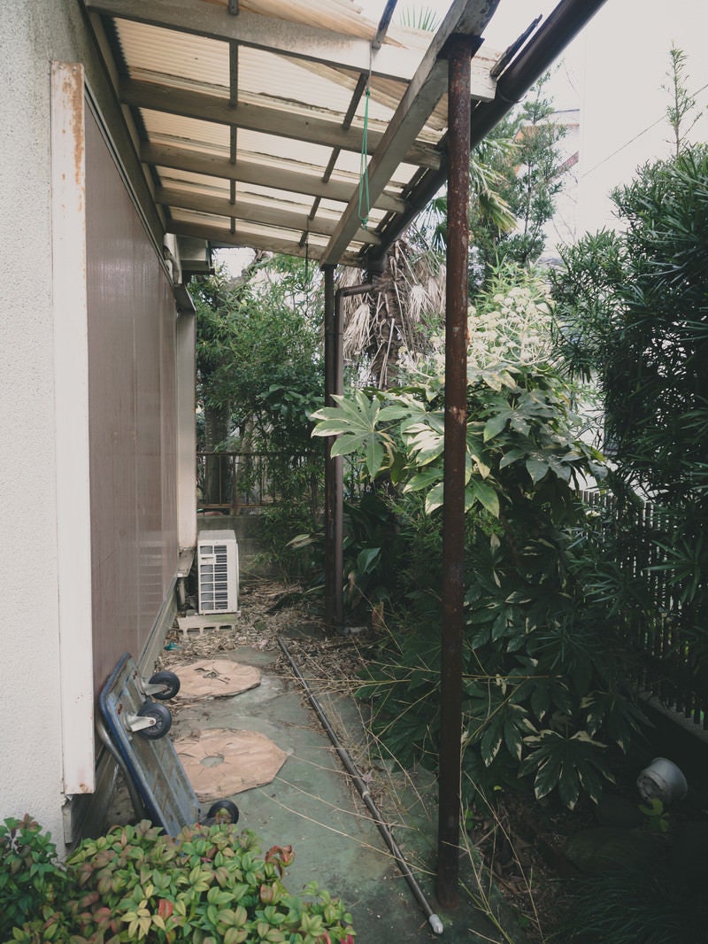 「引っ越して誰も住んでいない一軒家の庭」の写真