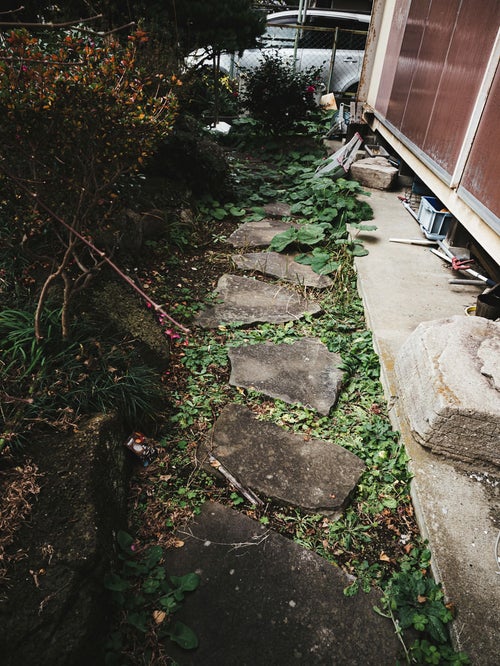 空き家の庭と石畳の写真