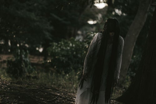 薄明るい森の中を徘徊する女性の写真