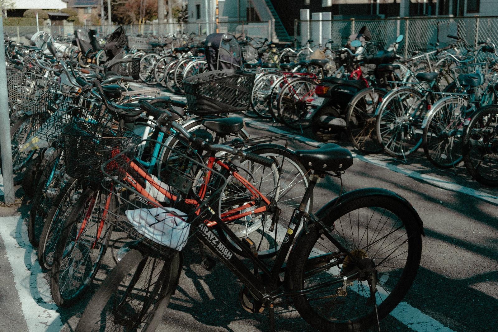 「並んだ自転車の駐輪場」の写真