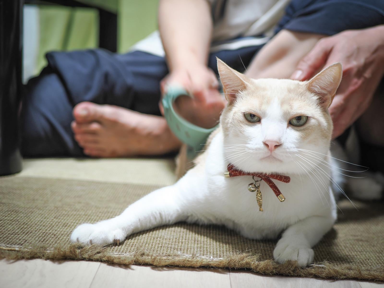 「いいか、お館様の前では粗相のないようにな。」の写真