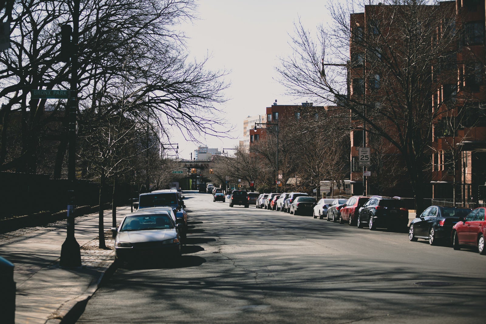 「路上駐車されたニューヨークの車の列」の写真