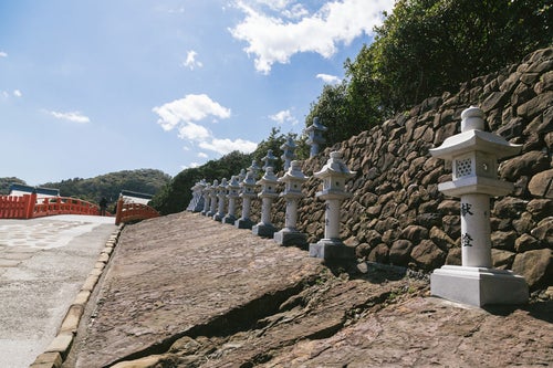献燈された燈籠が並ぶ鵜戸神宮の写真