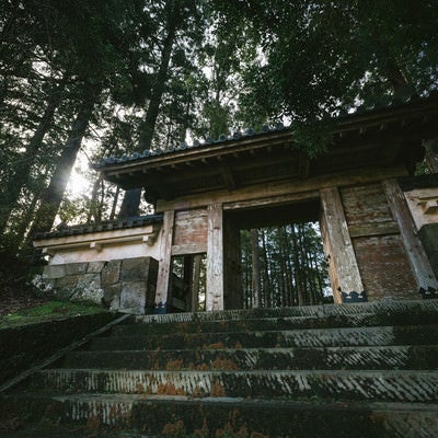 飫肥杉に囲まれる飫肥城裏門の風格の写真