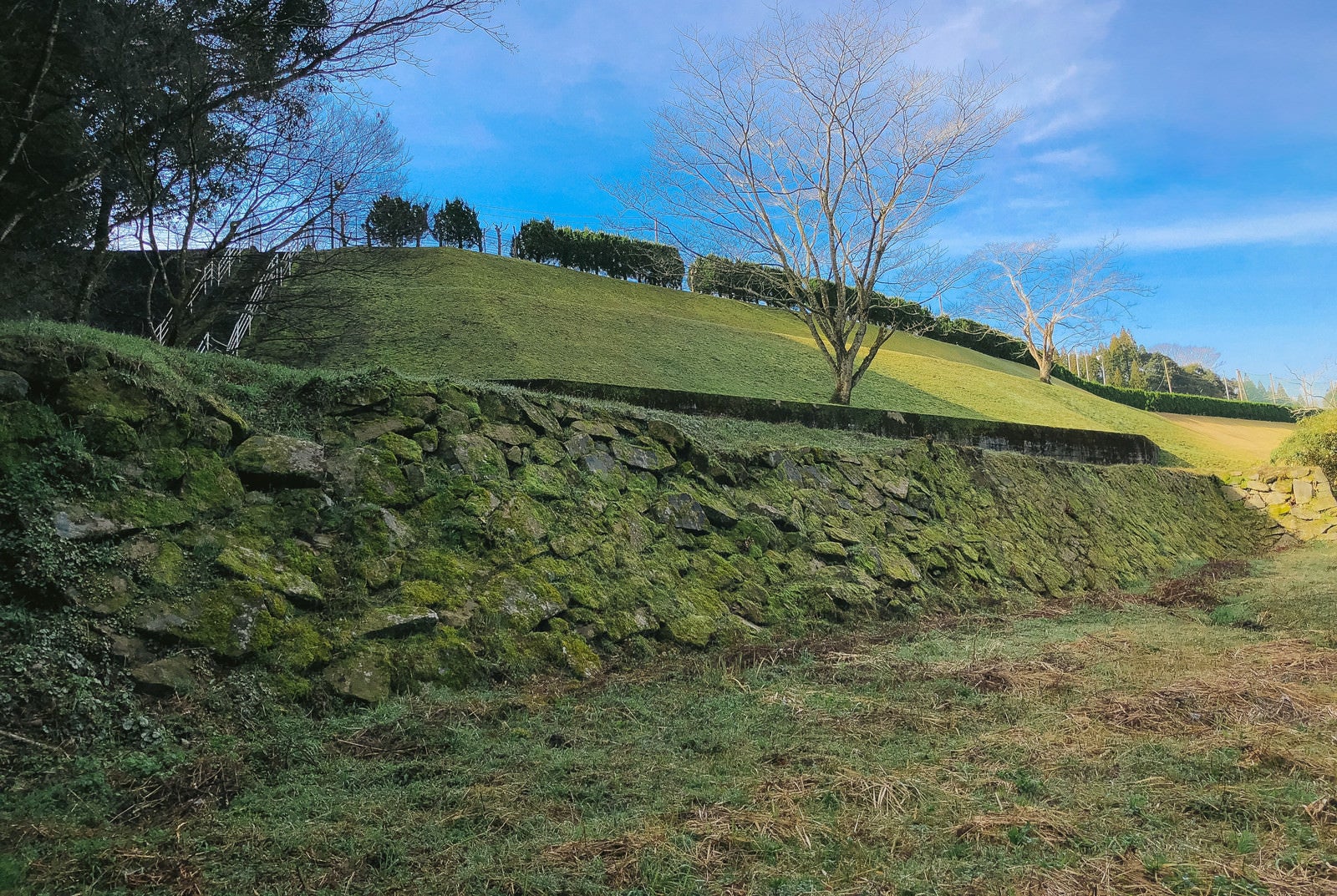 「飫肥城の手つかずな石垣」の写真