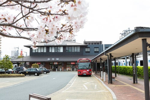 桜と直方駅の写真
