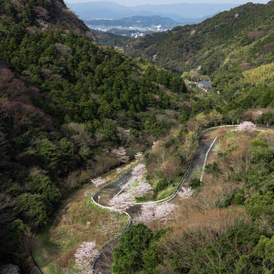 福智山ダムからの眺めと道路の写真