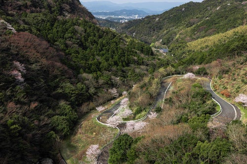 福智山ダムからの眺めと道路の写真