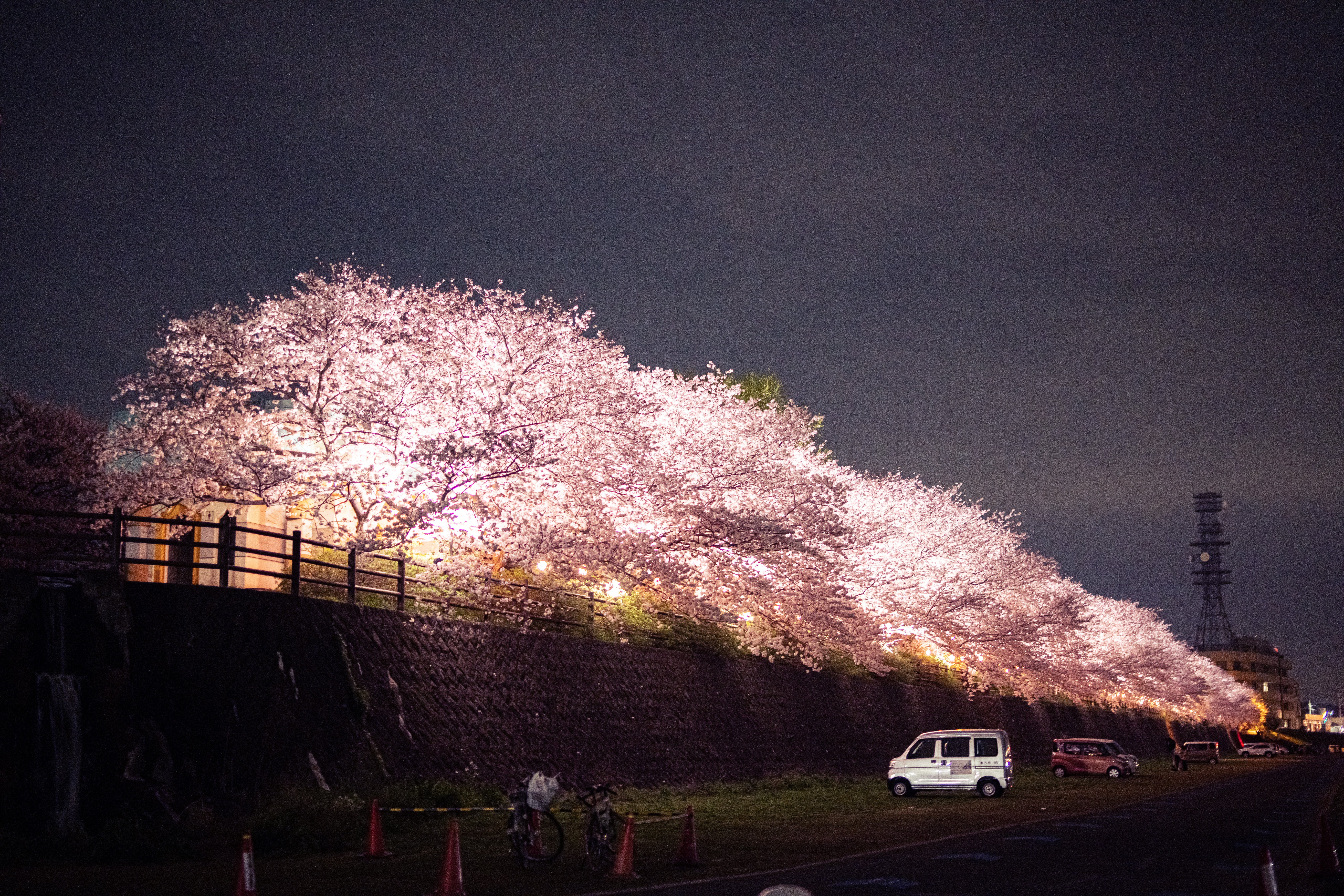 立体絵画の「桜並木のライトアップ」 noogata-pakuPAR539952655.jpg?&